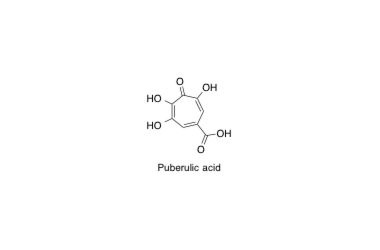 14, Puberulic acid.pdf
