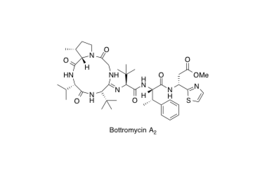 09, Bottromycin A2.pdf