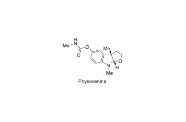 05, Physovenine.pdf