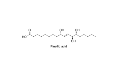 03, Pinellic acid.pdf