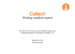 Visiting student report.pdf